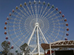 65m ferris wheel rides for sale