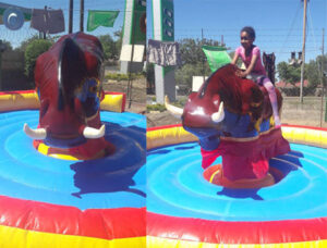 Beston Mechanical Bull Ride In South Africa