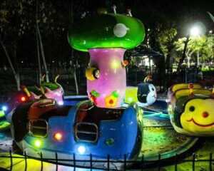 Beston Ladybug Amusement Rides in Uzbekistan Park