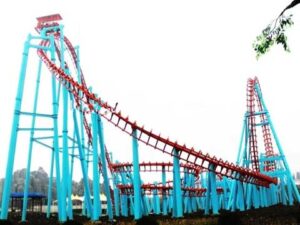5 ring roller coaster for sale