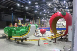 Fruit worm roller coaster for sale 02
