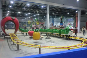 Fruit worm roller coaster for sale