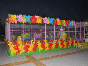 spary ball car ride for sale 02