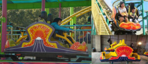 spin roller coaster manufacturer