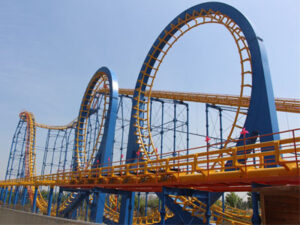 6 loop roller coaster ride for sale 04