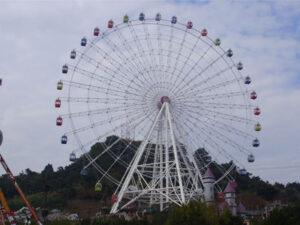 65 meters ferris wheel ride for sale