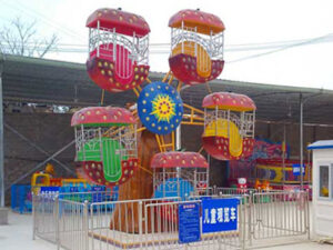 mini ferris wheel ride for sale
