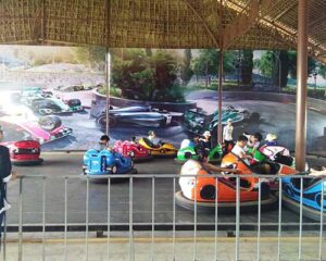 Beston Bumper Car Ride