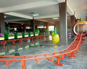 Beston Worm Roller Coaster manufacturer