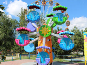 mini double ferris wheel price