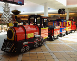 shopping mall trackless train for sale 01