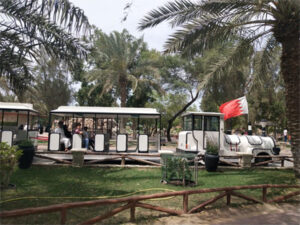 Beston electric tourist trackless train ride for sale 02