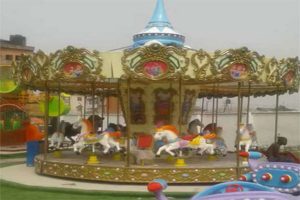 amusement carousel rides for sale