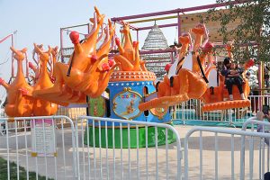 Kangaroo Jumping Rides For Sale