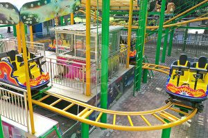 Spin Roller Coaster Ride For Sale