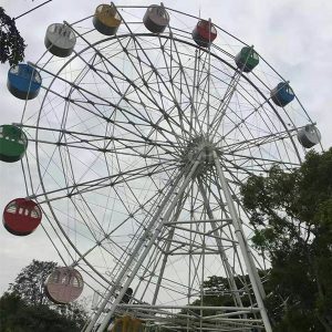 30 meter ferris wheel rides costs