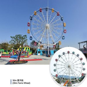 30 meter ferris wheel rides price