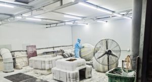 Beston produce workshop