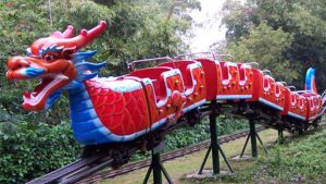 dragon roller coaster for sale