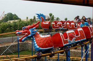 dragon roller coaster ride for sale