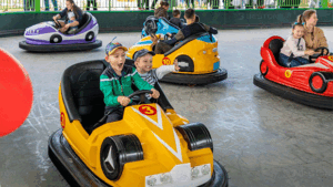 bumper car rides for sale