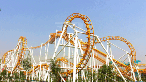 roller coaster rides for sale
