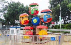 small ferris wheel