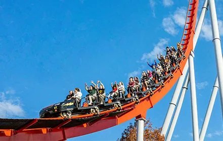 roller coaster for sale