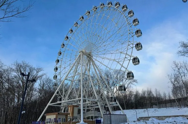 ferris wheel rides