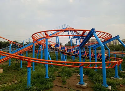 family roller coaster