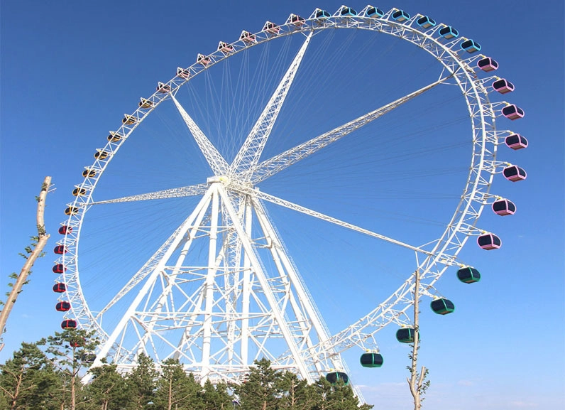 89m ferris wheel rides