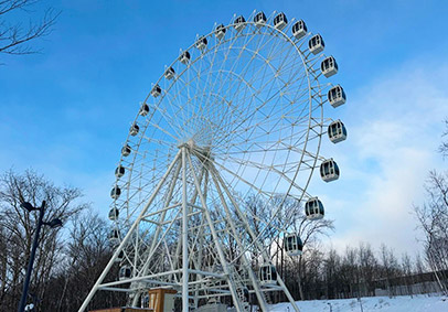 ferris wheel