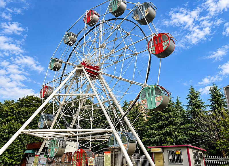 ferris wheel rides price
